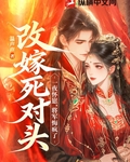 改嫁死对头一夜怀崽，将军悔疯了